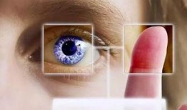 虹膜小平板最新爆料,颠覆性设计与强大性能一触即发