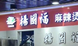 最新杨国福爆料新闻,揭秘餐饮行业内幕