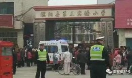 濮阳事件爆料最新情况,真相逐步浮出水面