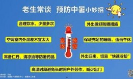 最新台风爆料消息视频大全,视频大全揭秘风暴来袭
