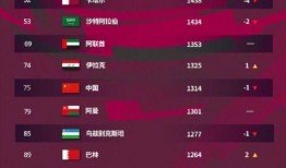 国足爆料降薪最新消息,球员降薪幅度及原因深度解析