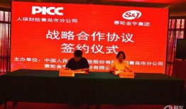 中国人保爆料最新消息,揭秘保险行业重大变革与未来趋势