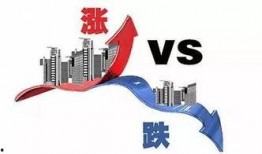 十一合村爆料最新消息,揭秘事件背后惊人真相