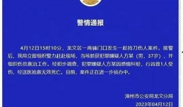 石家庄近期爆料案件最新,真相背后引发社会关注