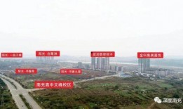 文峰最新爆料,揭秘娱乐圈不为人知的秘密