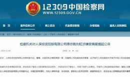 中国人保爆料最新消息,揭秘保险行业重大变革与未来趋势