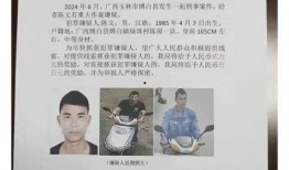 全南爆料嫌疑人最新消息,嫌疑人最新动向及案件进展揭秘