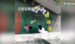 湖北爆料事件视频最新,真相与争议交织的舆论漩涡