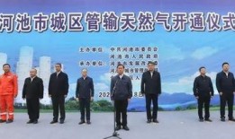 河池爆料新颖新闻最新消息,揭秘神秘事件背后的惊人真相！