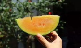 5月新瓜最新爆料,娱乐圈风云再起，明星隐私大揭秘