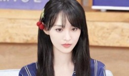 郑爽退圈后最新爆料,最新爆料揭露惊人内幕