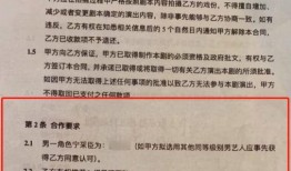 剧本编剧爆料大全最新,幕后故事与创作秘籍大公开